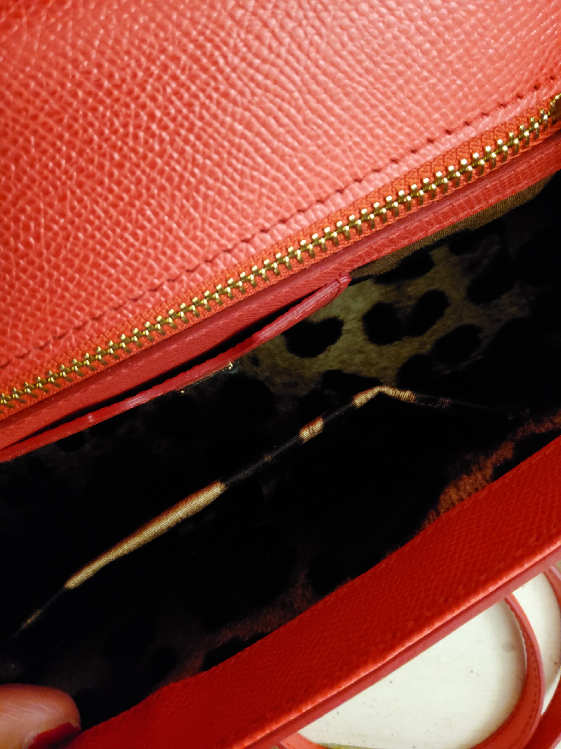 D&G Miss Sicily rossa - immagine 6