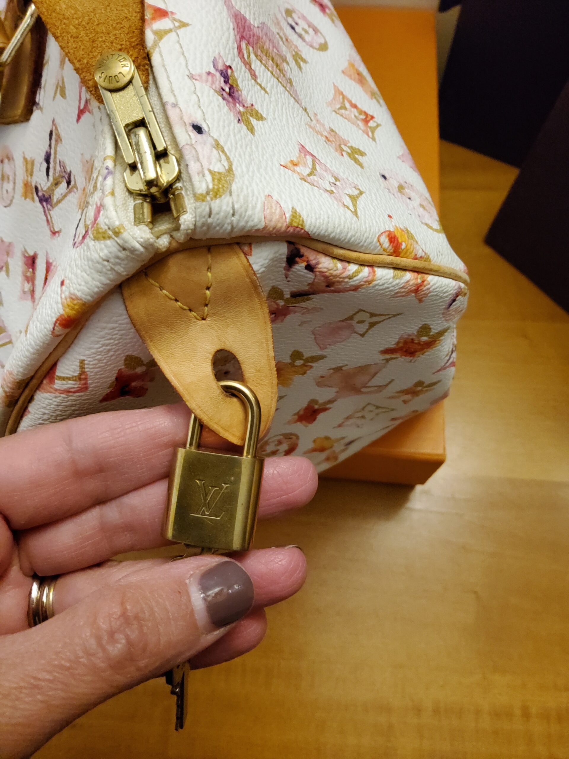 Louis Vuitton Speedupy Aquerelle - immagine 17