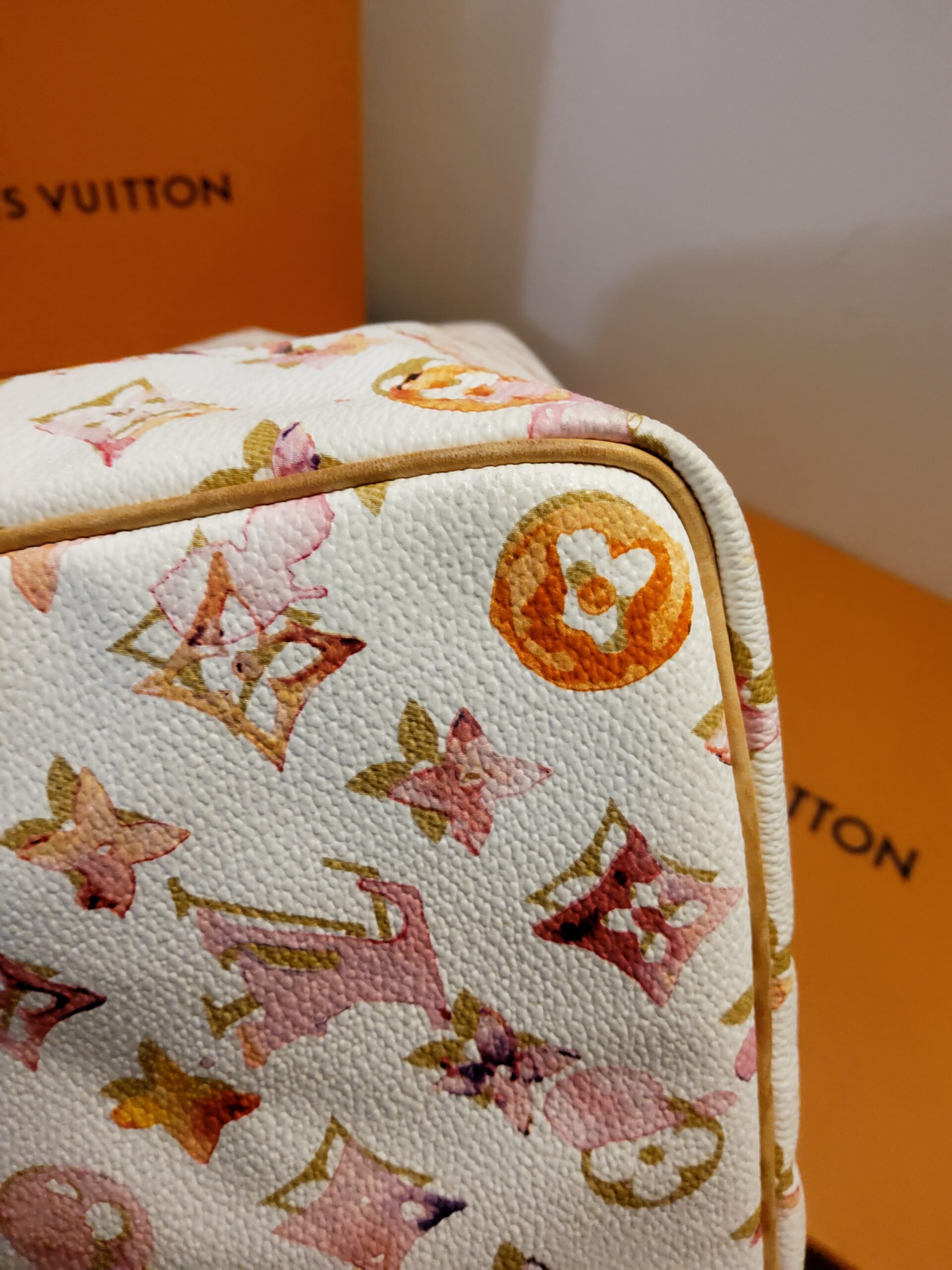 Louis Vuitton Speedupy Aquerelle - immagine 18