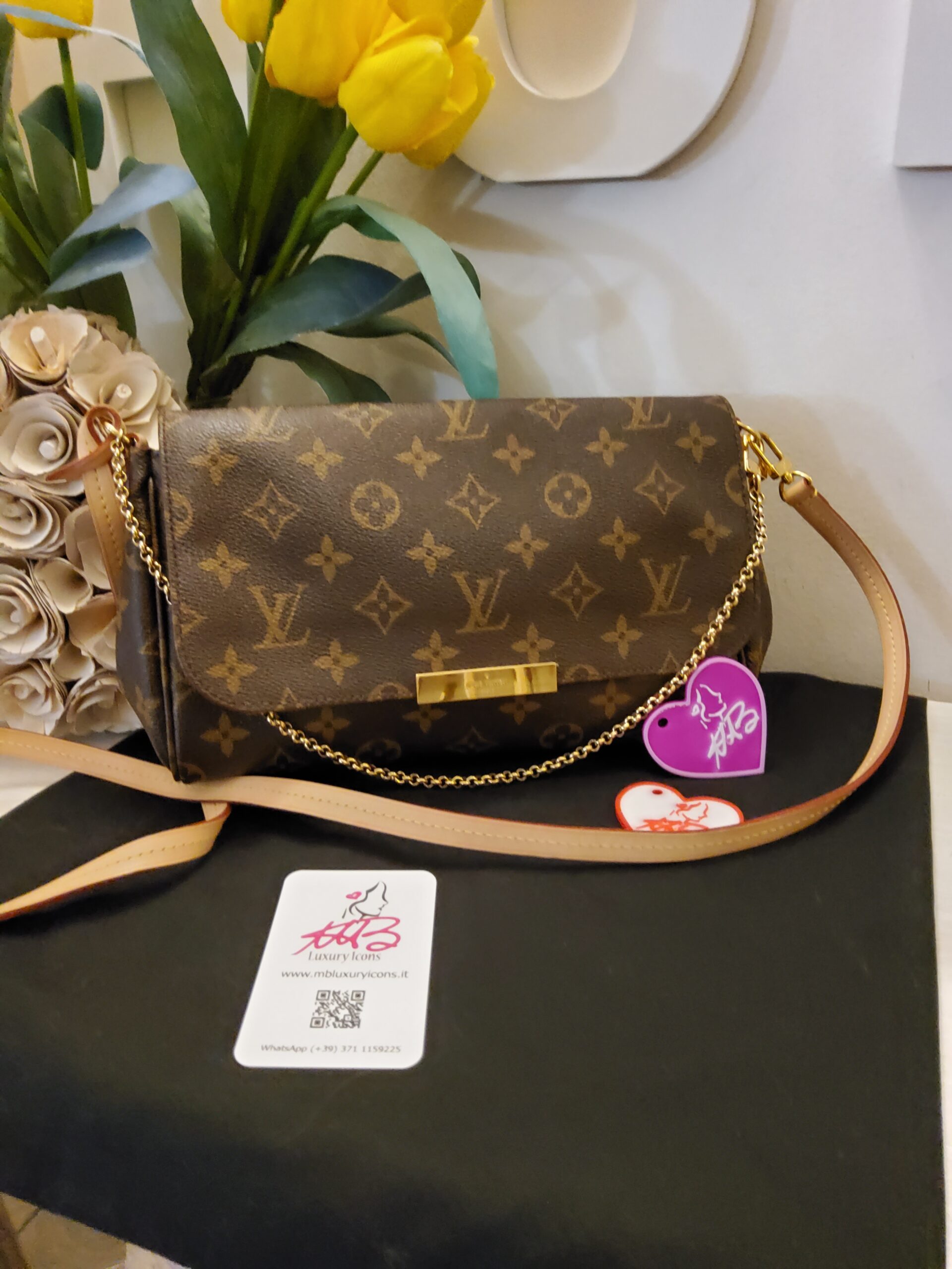 Louis Vuitton Favorite MM monogram