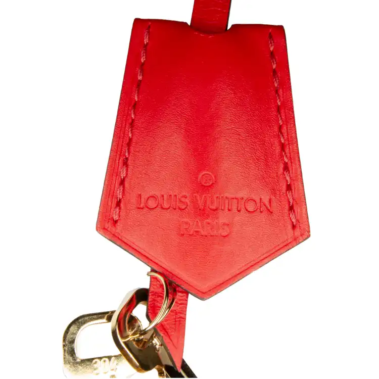 Louis Vuitton Flower tote - immagine 13